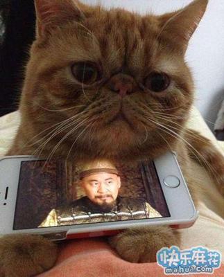 最新产品,加菲猫手机座 图片_hao123网址导航