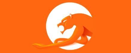 被低估的猎豹:从夹缝求生、侧翼突围到追求理想