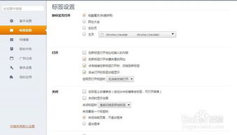 猎豹浏览器自定义主页 自定义 网址导航